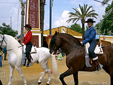 Spain-Southern Spain-Feria del Caballo - Jerez